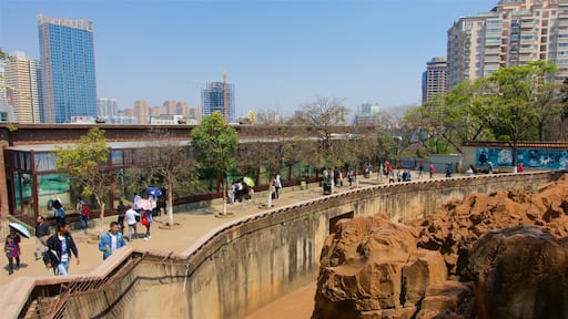 Kunming Zoo showing a high rise building and a city as well as a small group of people