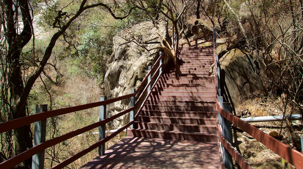 Garganta do Pulo do Tigre