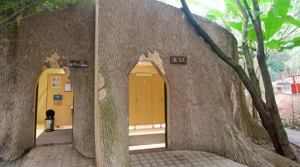 Giant Panda Breeding Research Base