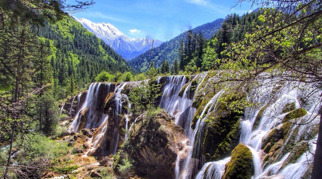 I completely underestimated the natural beauty of China. Jiuzhaigou was my favorite park to visit, with endless cascading falls, snowy peaks, emerald colored lakes, and forest. It is easily accessible with most of the trails consisting of boardwalks.