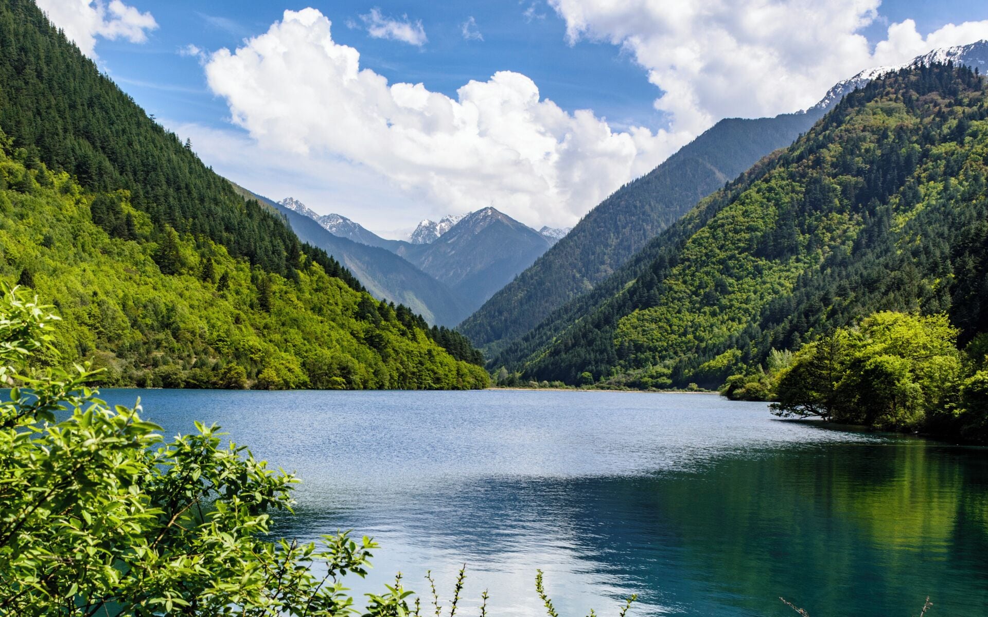 The Summer of #Jiuzhaigou Valley.
夏日的九寨沟

https://twitter.com/Beautifulgx