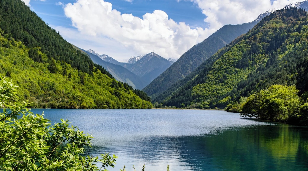 The Summer of #Jiuzhaigou Valley.
夏日的九寨沟
https://twitter.com/Beautifulgx