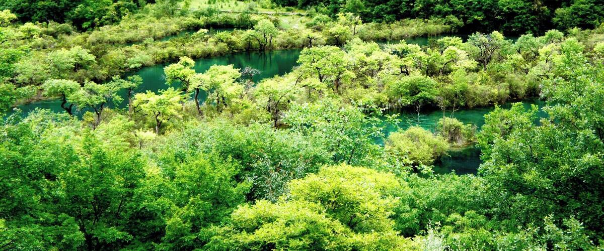 Jiuzhaigou, Sichuan China
Jiuzhaigou is a stunning national park in China, that it is a MUST VISIT place!!