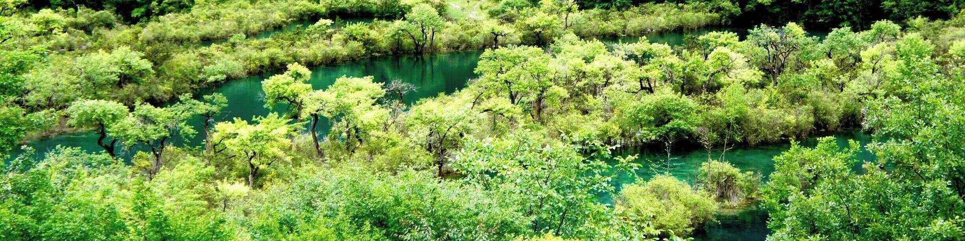 Jiuzhaigou, Sichuan China
Jiuzhaigou is a stunning national park in China, that it is a MUST VISIT place!!