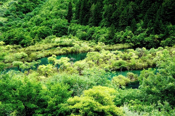 Jiuzhaigou, Sichuan China
Jiuzhaigou is a stunning national park in China, that it is a MUST VISIT place!!