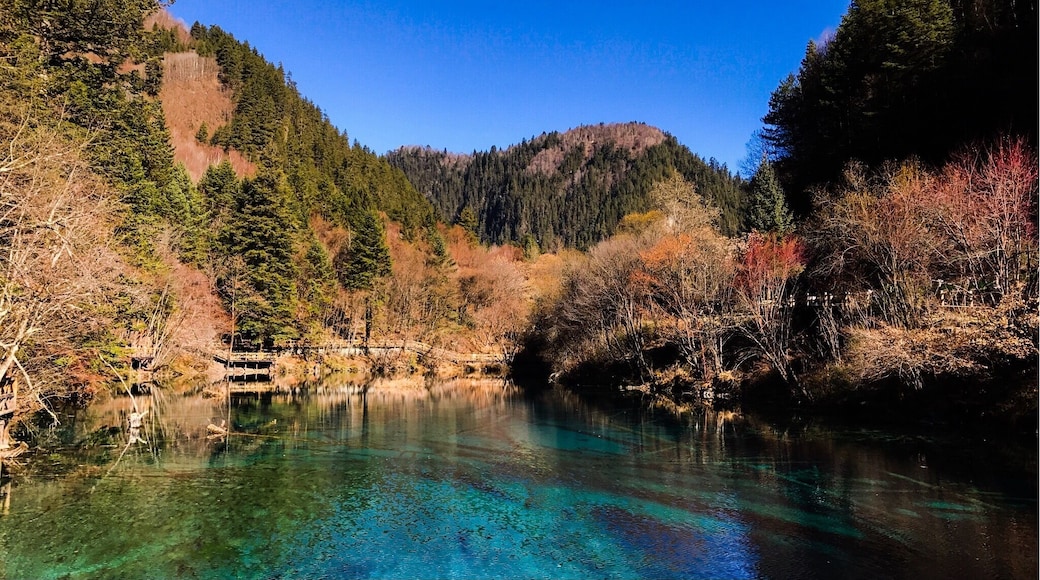 五花海。Five Flower Lake. Photo edited by PS Express:)