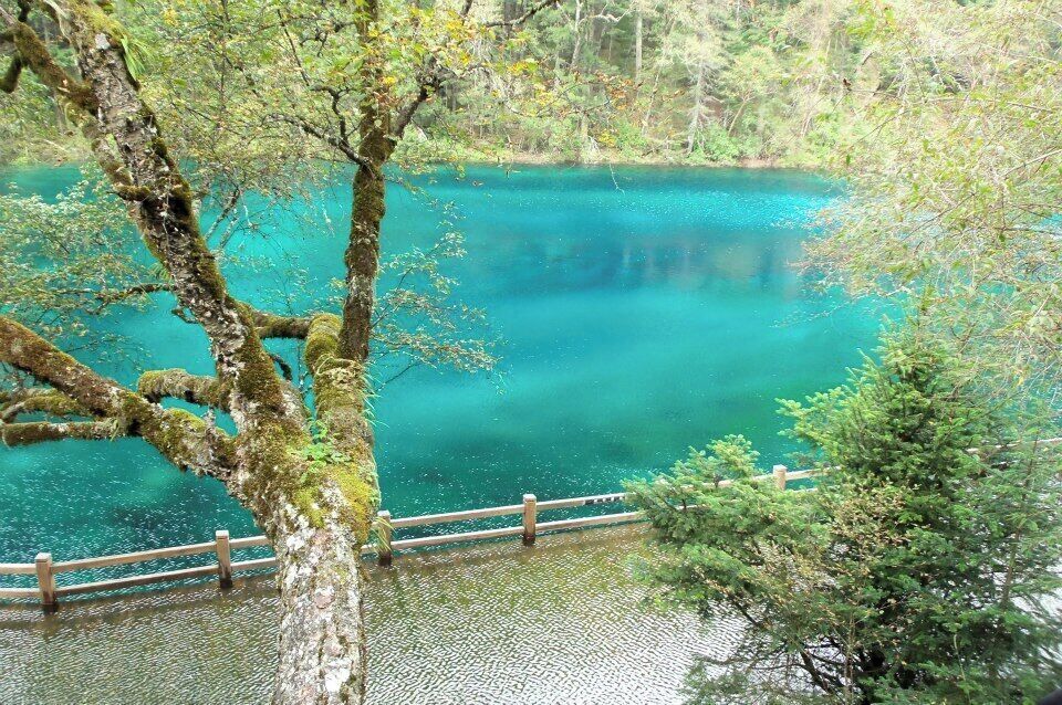 Multicolored pool in Jiuzhaigou, on a rainy day without much light. The picture was taken back in 2012, before the earthquake.