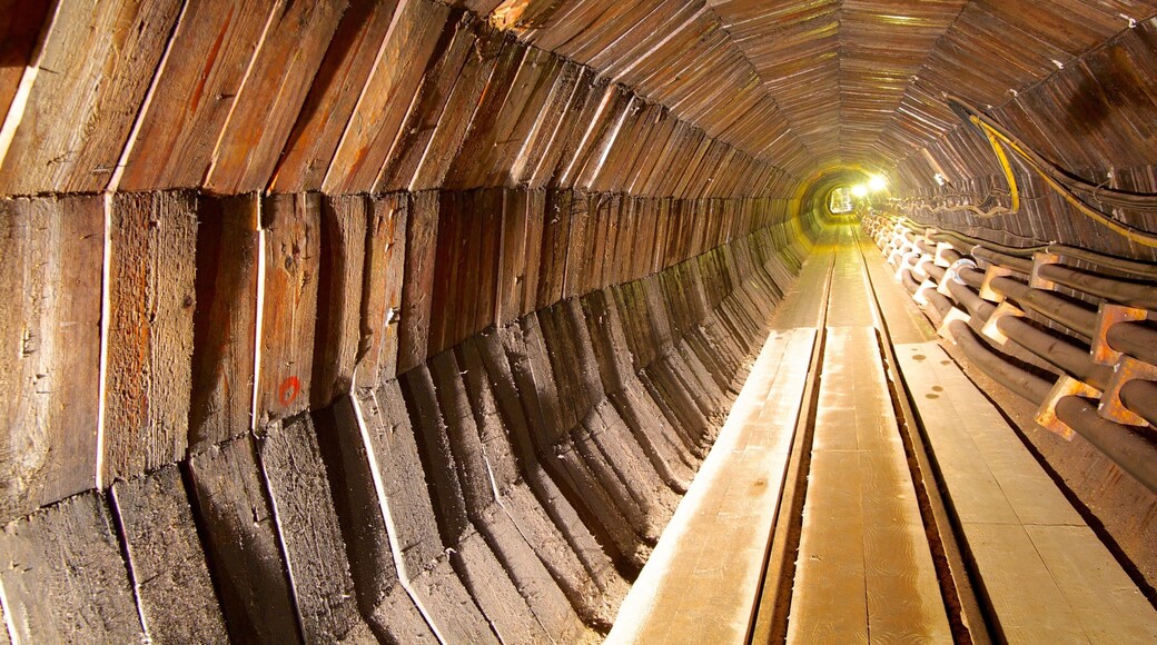 Salzburgo que inclui itens de ferrovia e vistas internas