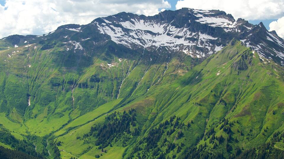 A mountain range with snow-capped peaks, lush green valleys, and a winding river.