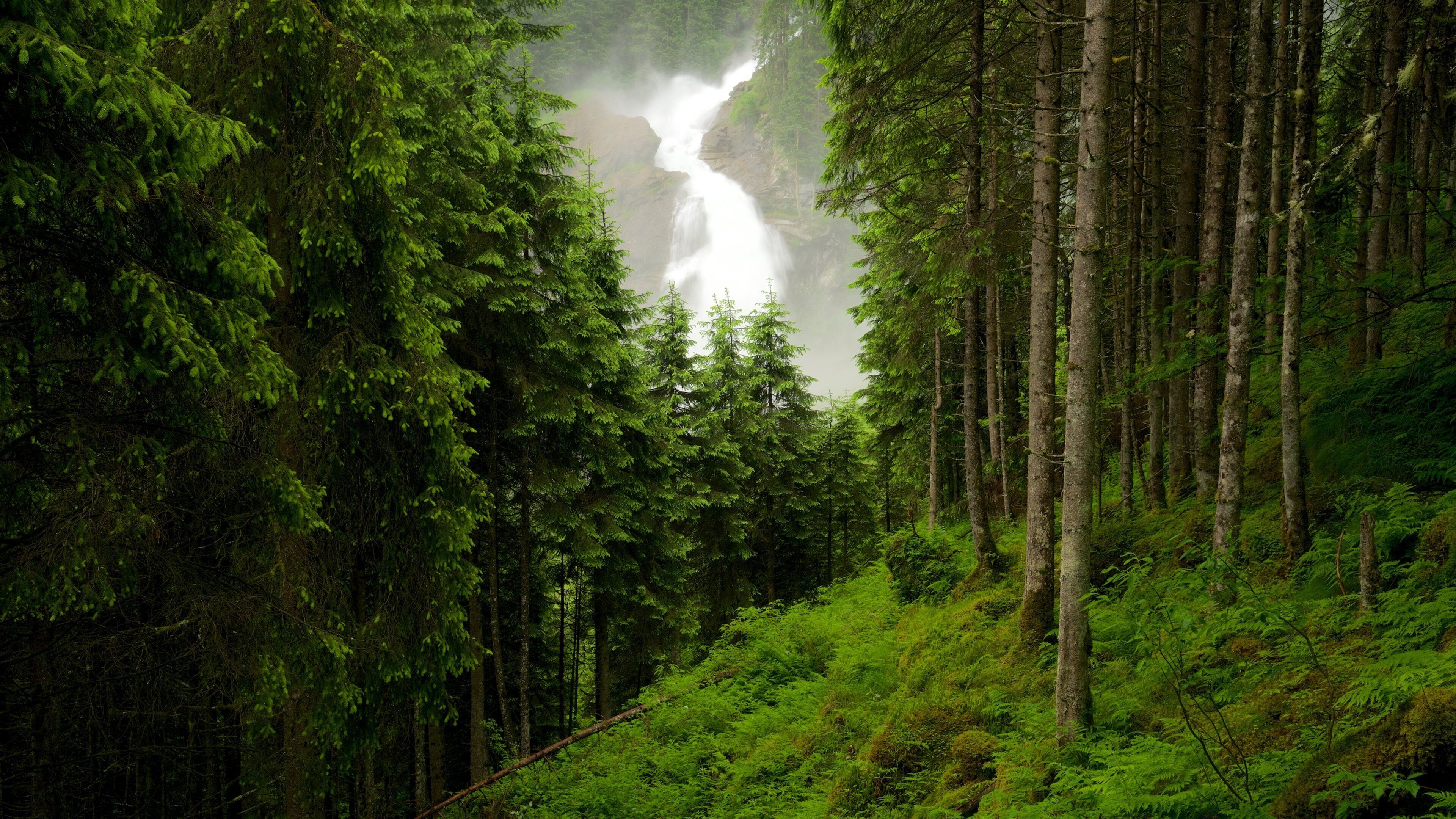 Krimmler Waterfalls featuring a waterfall and forests