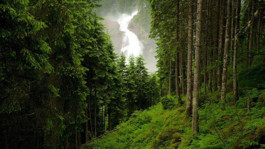 Cataratas Krimmler mostrando una catarata y bosques