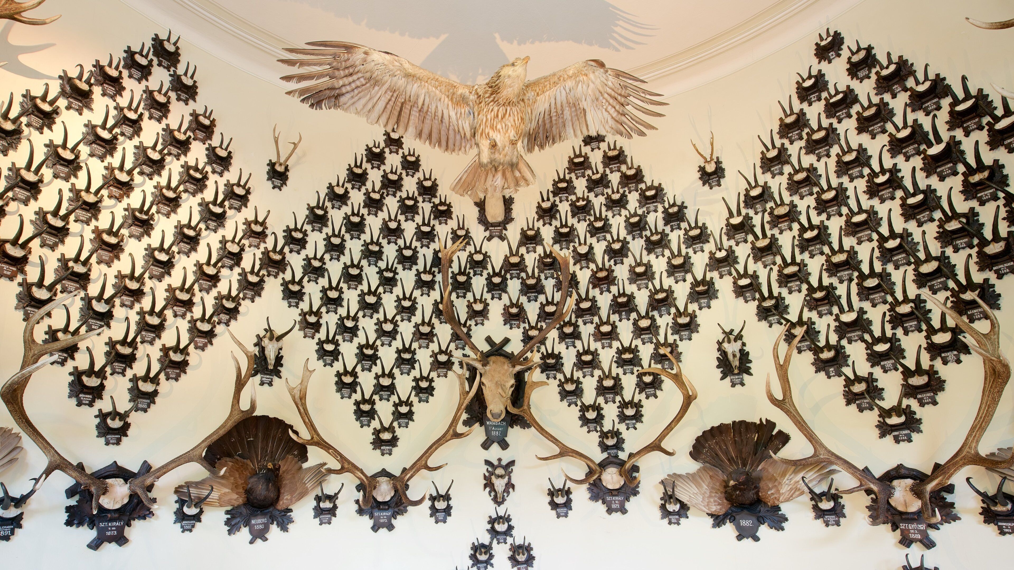 Bad Ischl qui includes vues intérieures et patrimoine historique