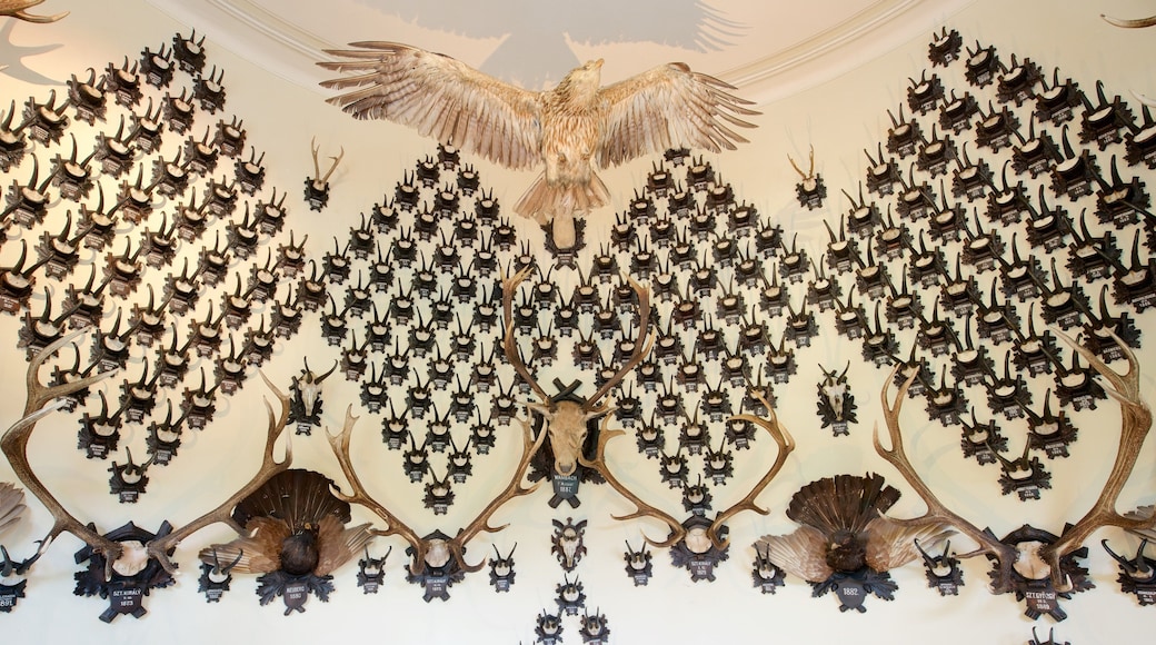 Bad Ischl qui includes vues intérieures et patrimoine historique