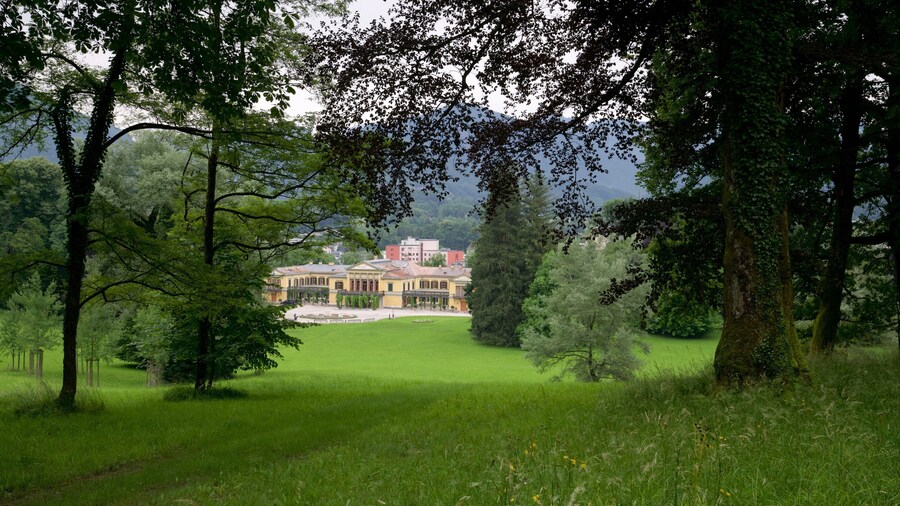 Bad Ischl ofreciendo un jardín