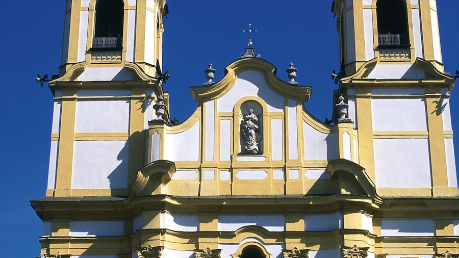 維爾頓大修道院 设有 教堂或大教堂, 宗教觀點 和 遺跡建築