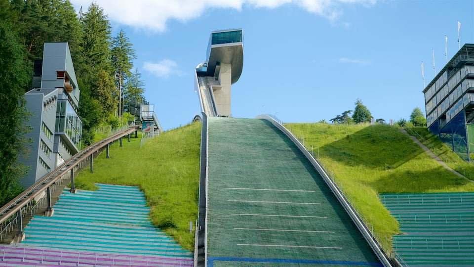 A modern architectural structure with a steep incline, green grass, and a staircase leading up to it.