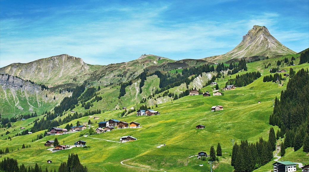 Skigebiet Damüls Mellau Faschina