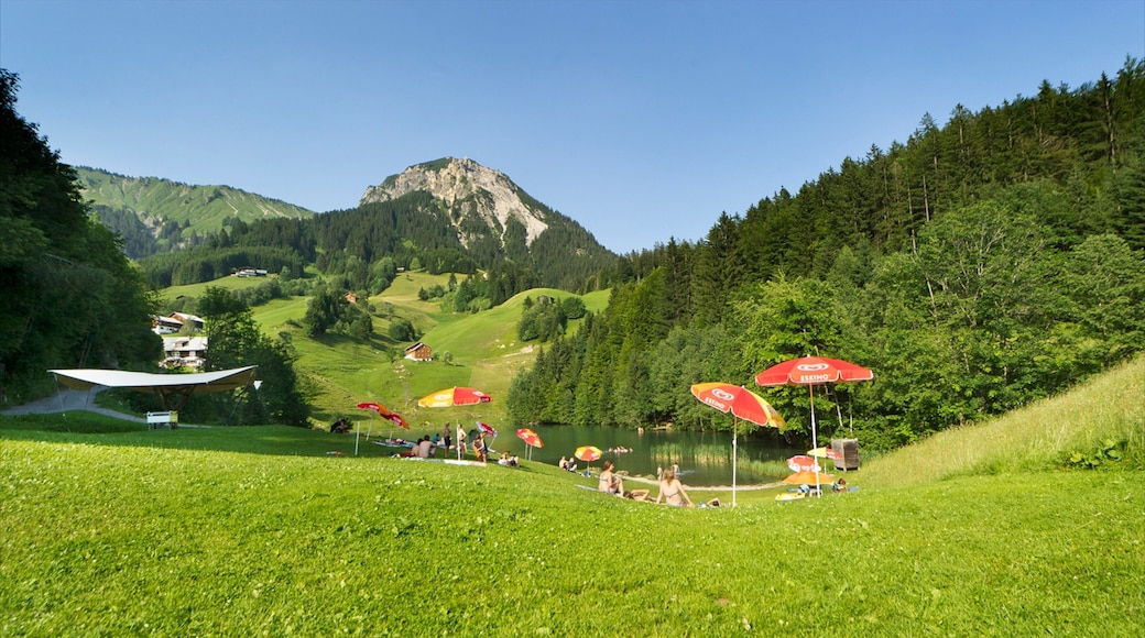 Damuels-Mellau-Fashina Ski Resort featuring mountains and forest scenes