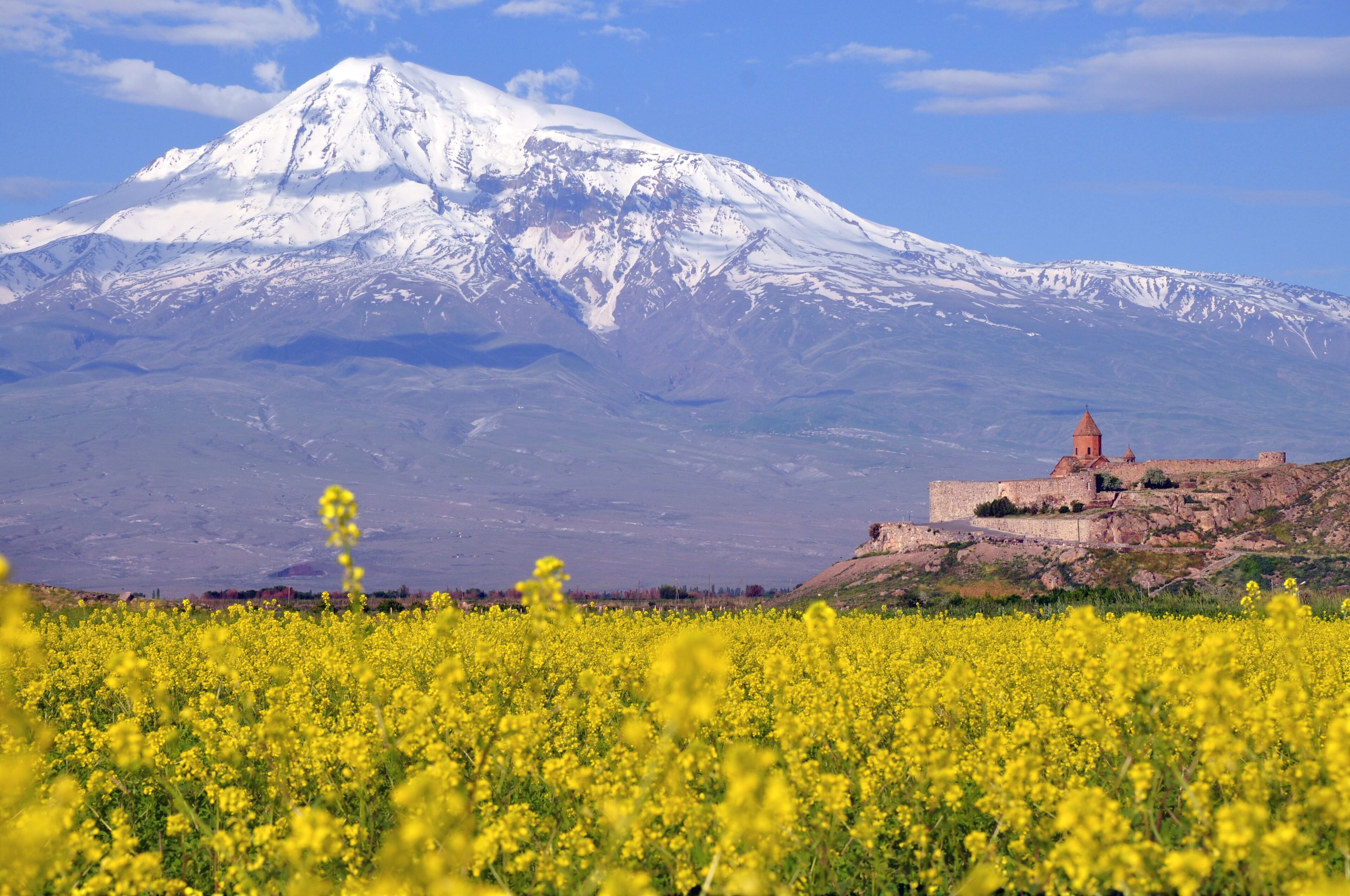 A snow-capped mountain, a field of yellow flowers, and a historic building on a hill.