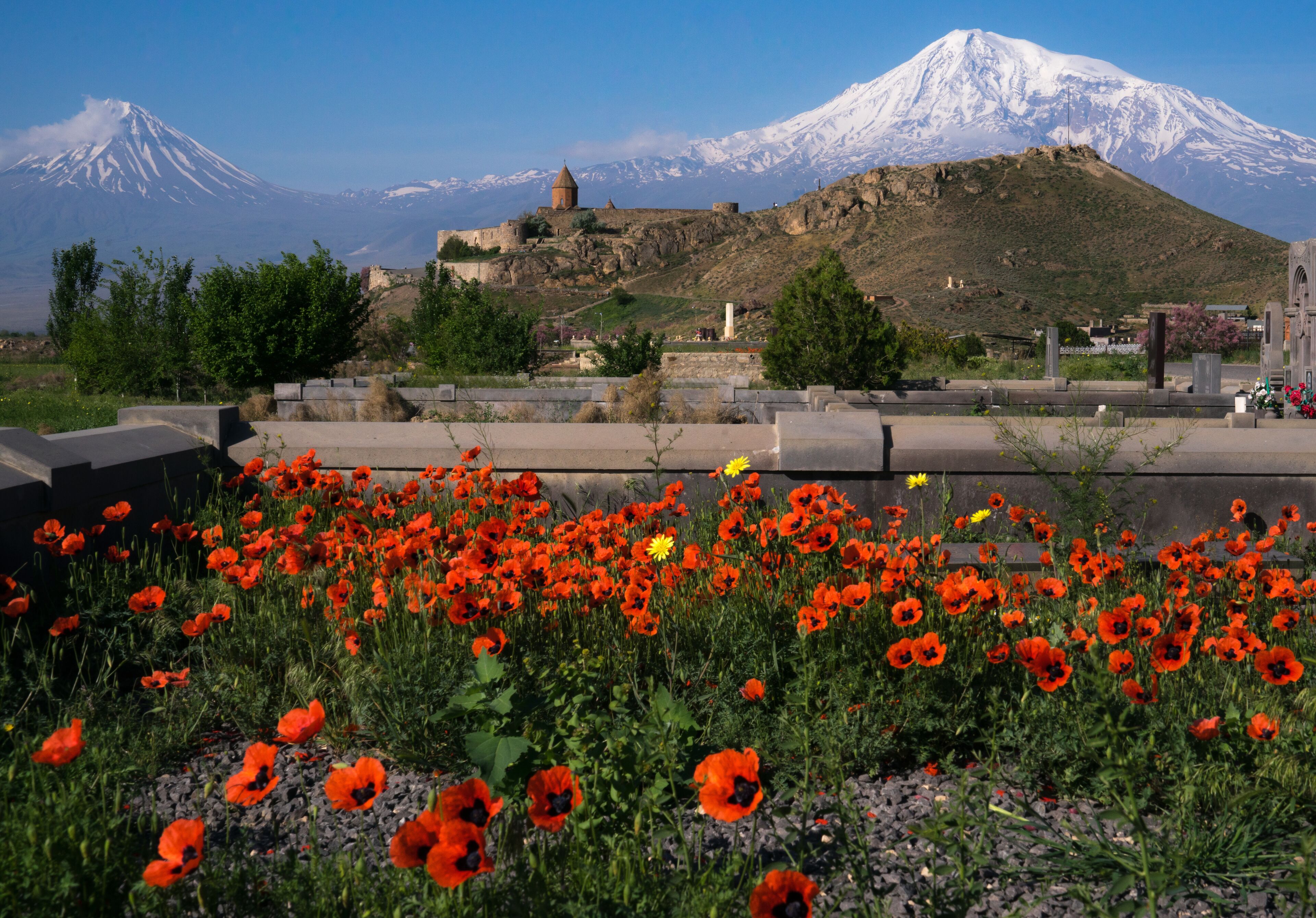 Marz d'Ararat