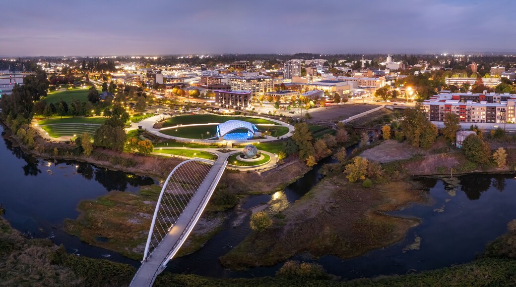 Salem Oregon Peter Minto Bridge Night City Lights State Capital Panorama