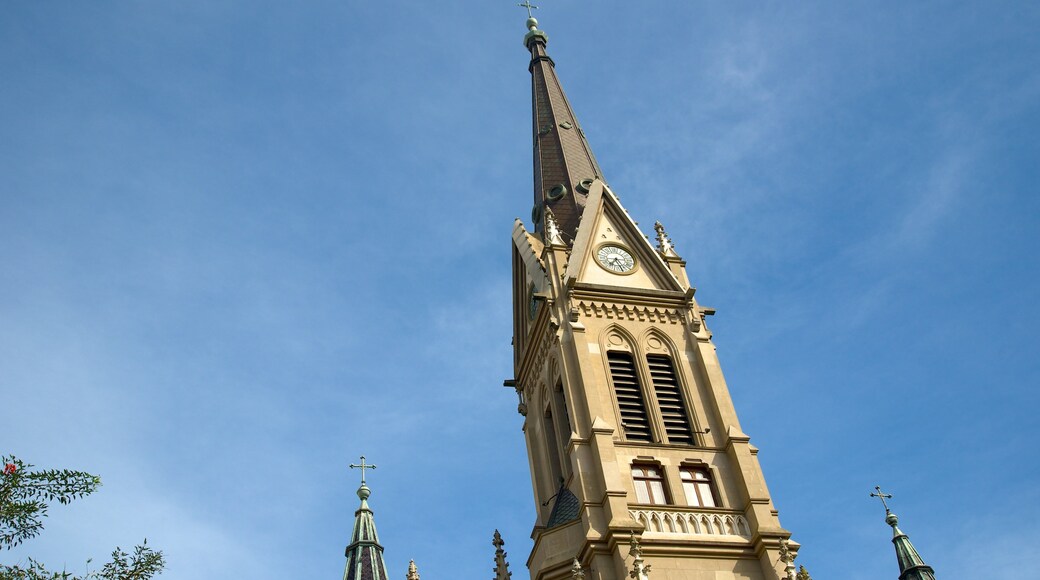 Mar del Plata Cathedral showing a church or cathedral and heritage architecture