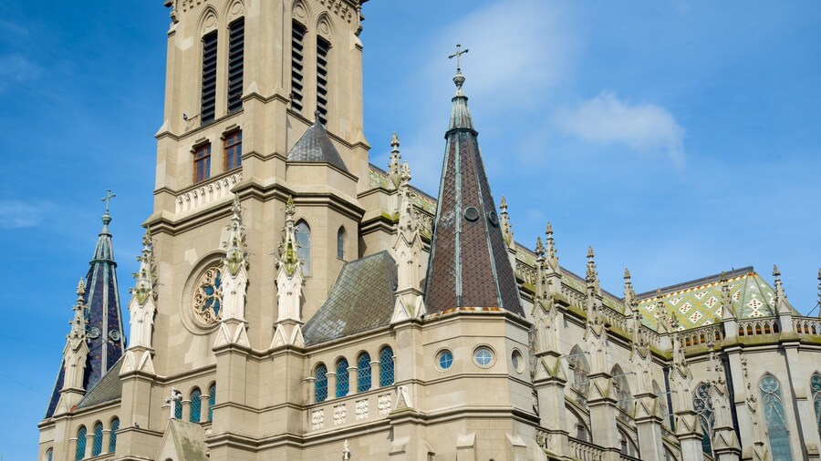 Mar del Plata Cathedral showing a church or cathedral and heritage architecture