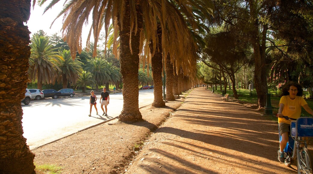 サン マルティン将軍公園 表示 サイクリング