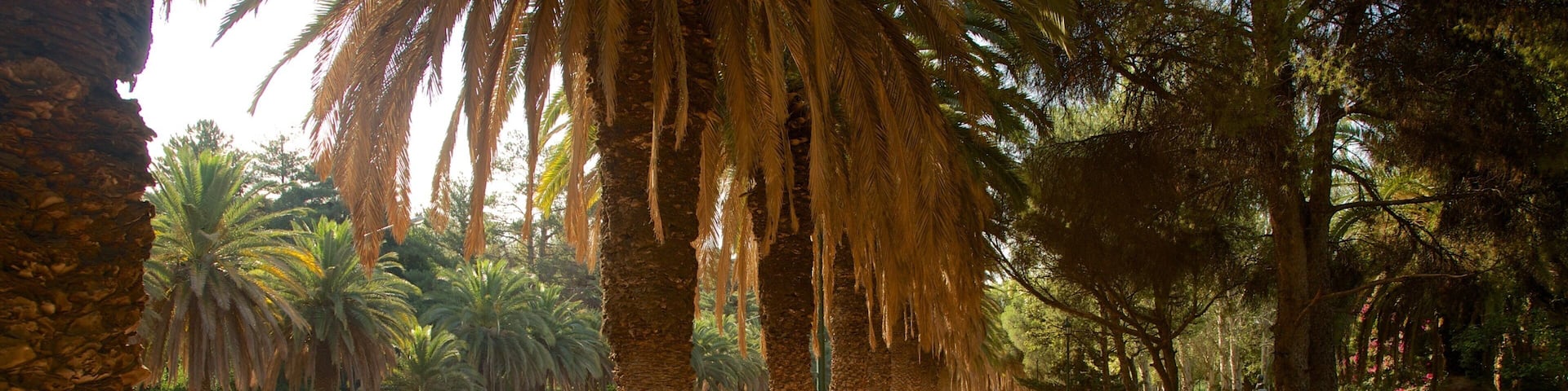 General San Martin Park which includes cycling