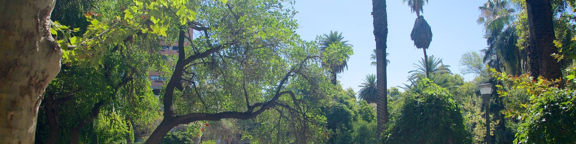 San Martin Square which includes a park as well as a small group of people