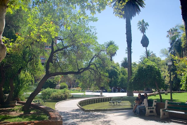 Plaza San Martín das einen Garten sowie kleine Menschengruppe