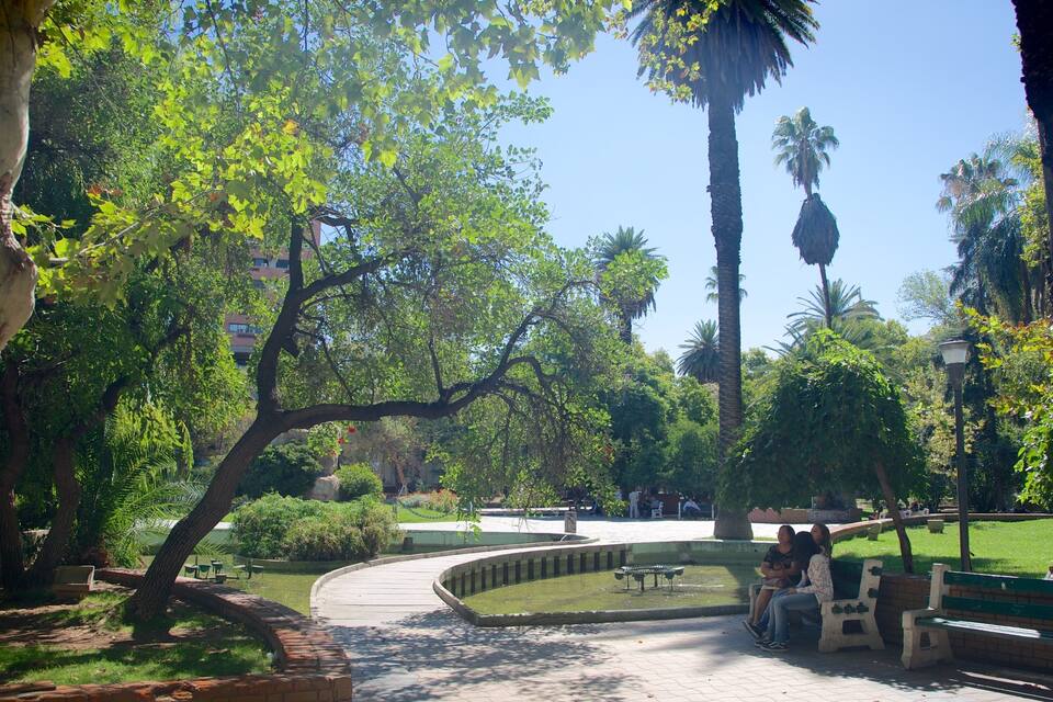 A park with a curved pathway, benches, and palm trees.
