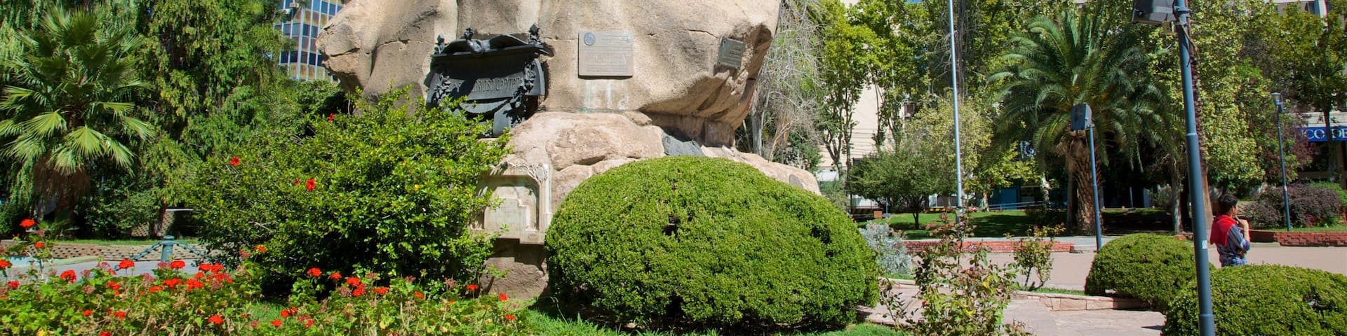 San Martin Square which includes a park, a statue or sculpture and wildflowers