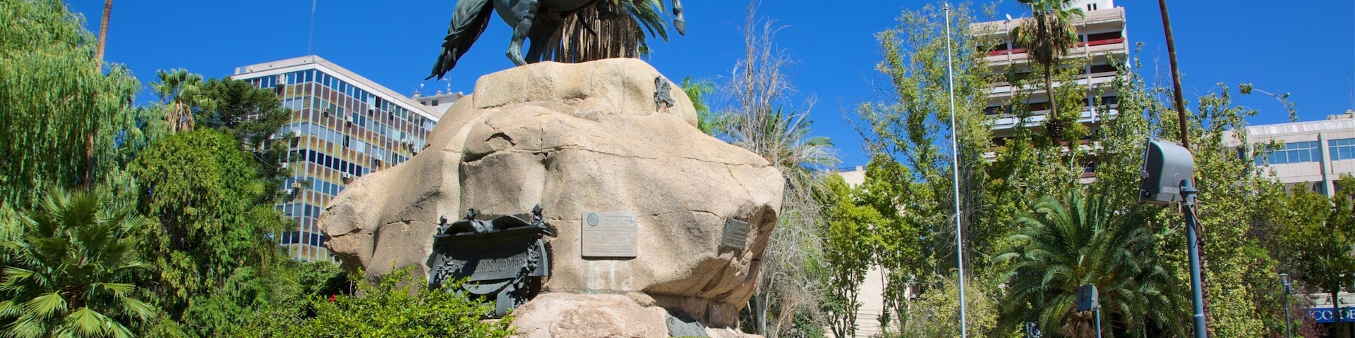 San Martin Square which includes a park, a statue or sculpture and wildflowers