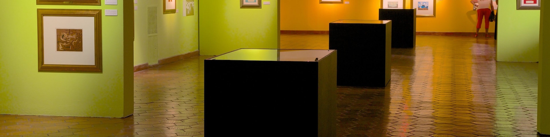 Museo de Arte Moderno caracterizando arte e vistas internas