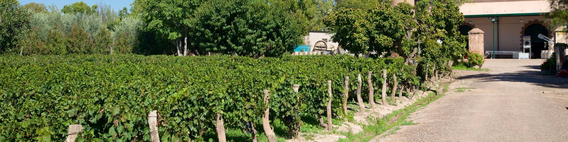 Weingut Lagarde Winery mit einem Haus und Farmland