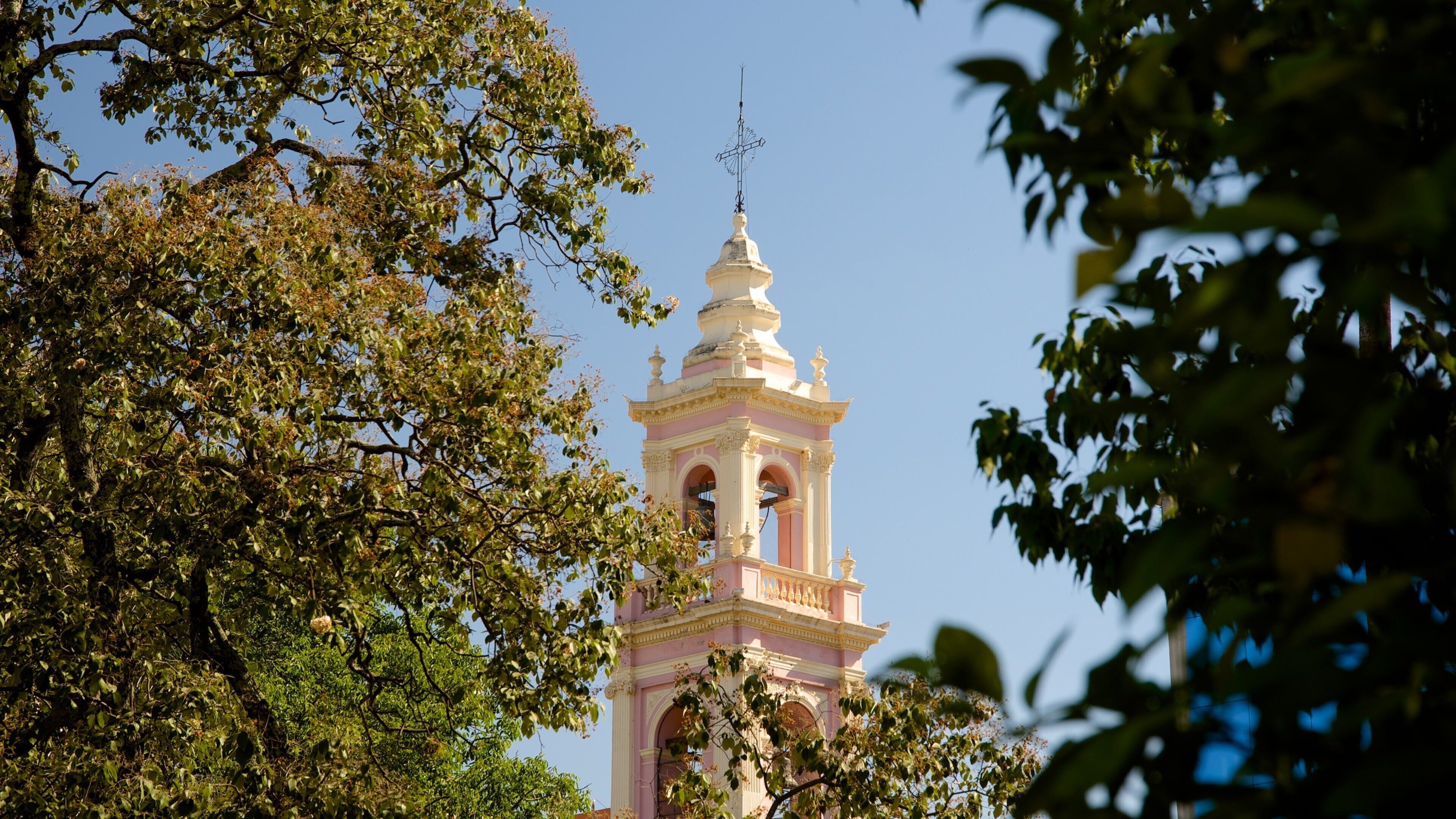 Catedral de Salta que incluye una iglesia o catedral, patrimonio de arquitectura y elementos religiosos