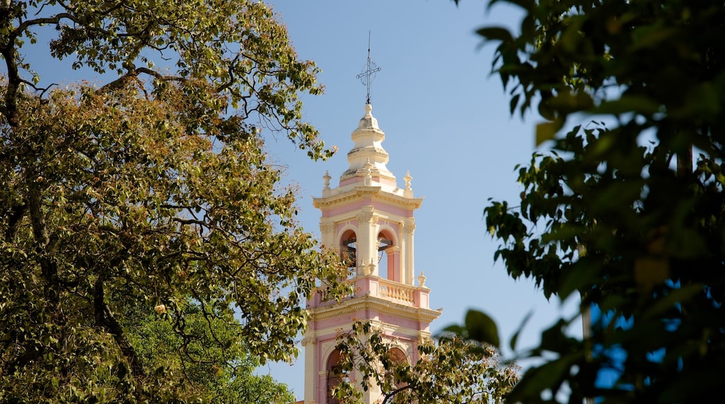 Catedral de Salta que incluye una iglesia o catedral, patrimonio de arquitectura y elementos religiosos