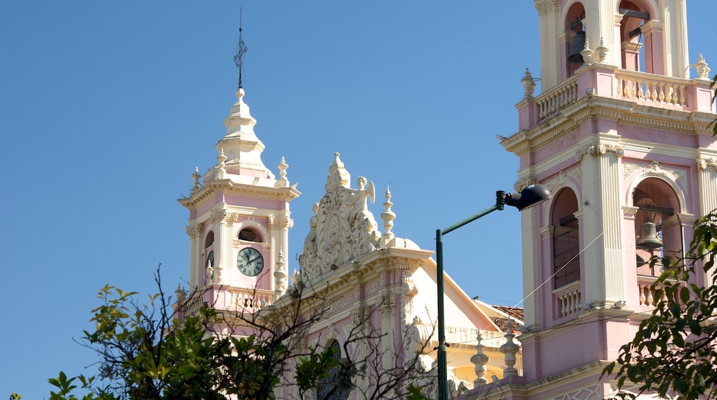 薩爾塔大教堂 设有 宗教元素, 教堂或大教堂 和 遺跡建築