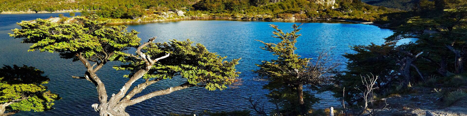 Laguna Capri and mount Fitz Roy, Los Glaciares National Park, Patagonia, Argentina