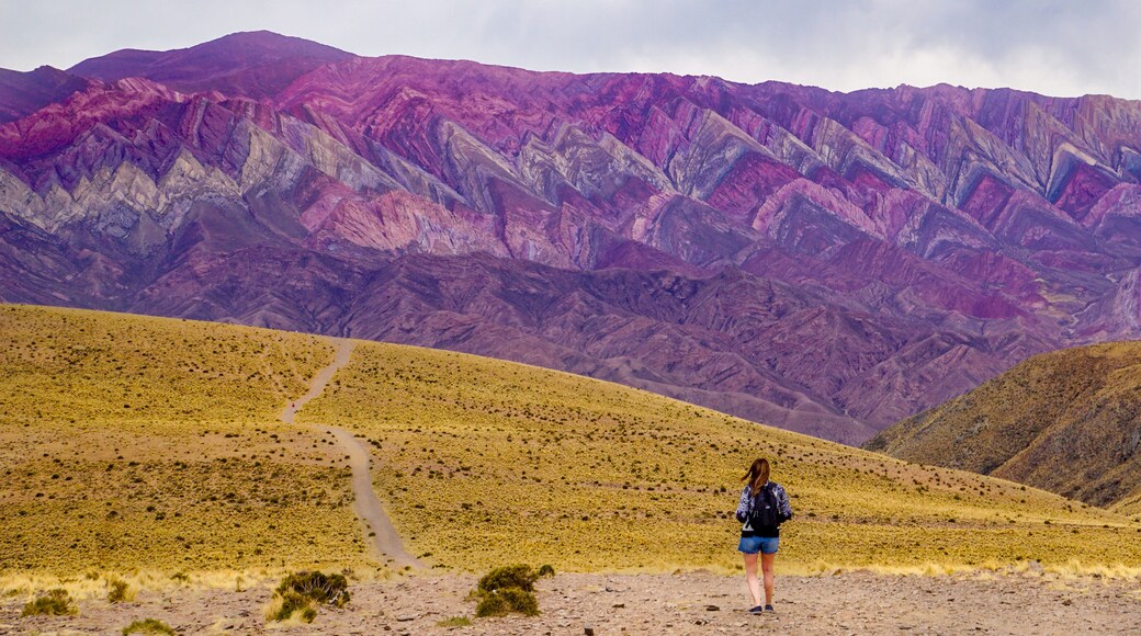 塔夫拉达·德乌玛瓦卡