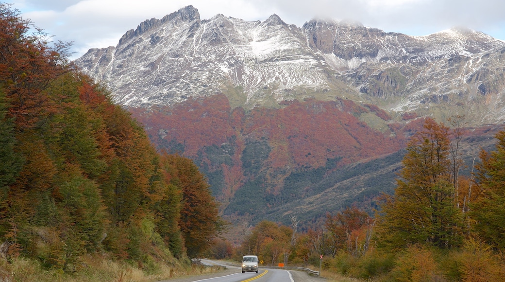 Tierra del Fuego National Park which includes tranquil scenes and mountains