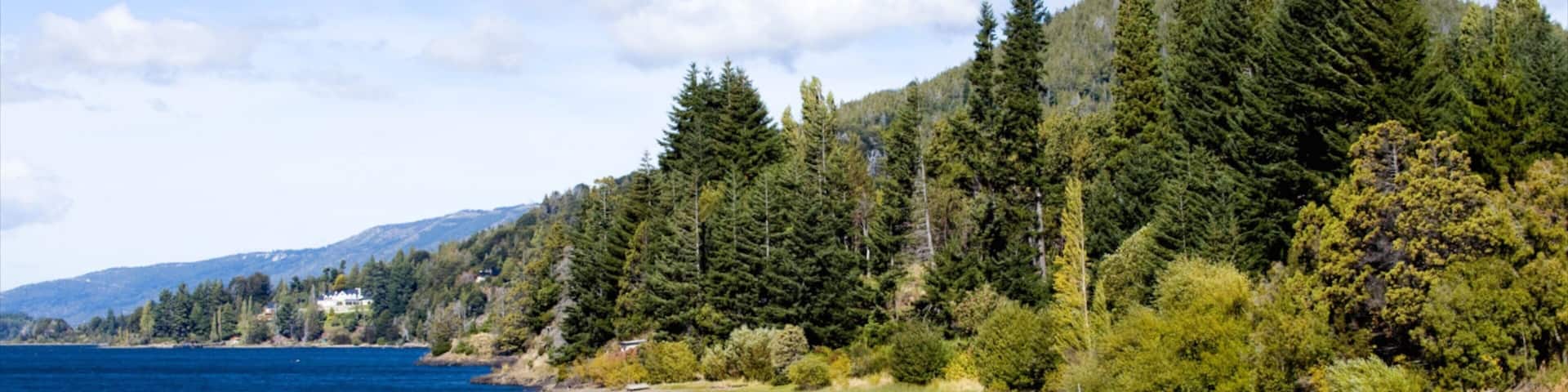 Parque Nacional Nahuel Huapi mostrando um lago ou charco, paisagem e cenas de floresta