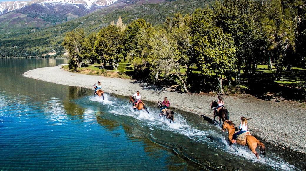 Fotografia aerea tomada en el Parque Nacional Nahuel Huapi a orillas del Lago Gutierrez, Cerca de la mitica ruta 40 camino a El Bolsón en la provincia de Rio Negro.
#bvspatagonia #patagonia #ParqueNacionalNahuelHuapi