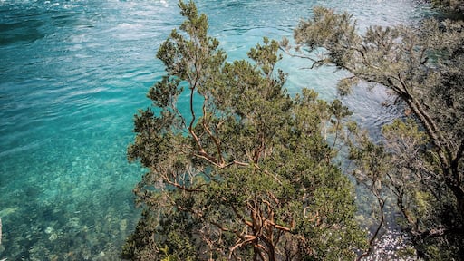 Just a few miles from the "pasarela río arrayanes"