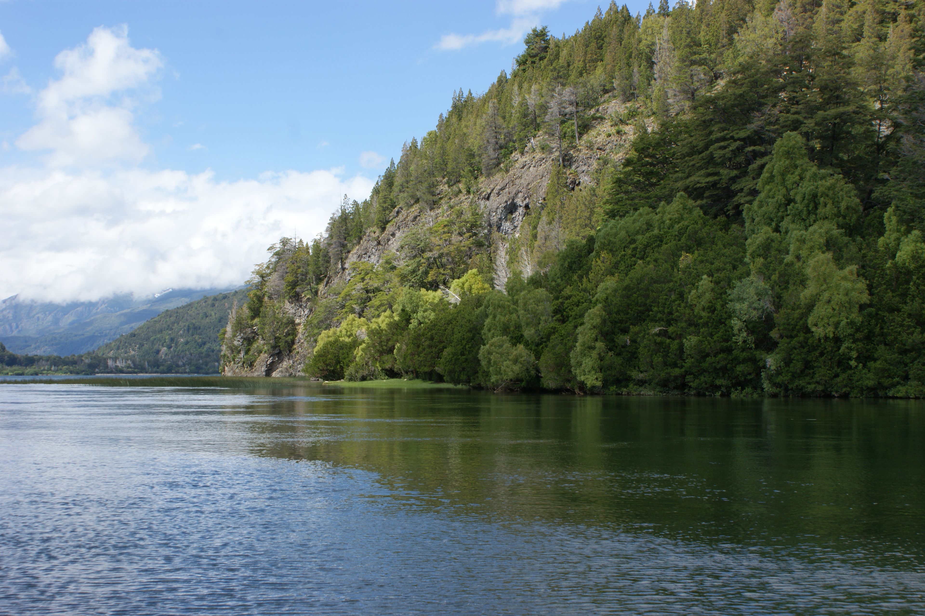 Un lac paisible, entouré d’une forêt dense, avec une chaîne de montagnes qui se profile à l’horizon.