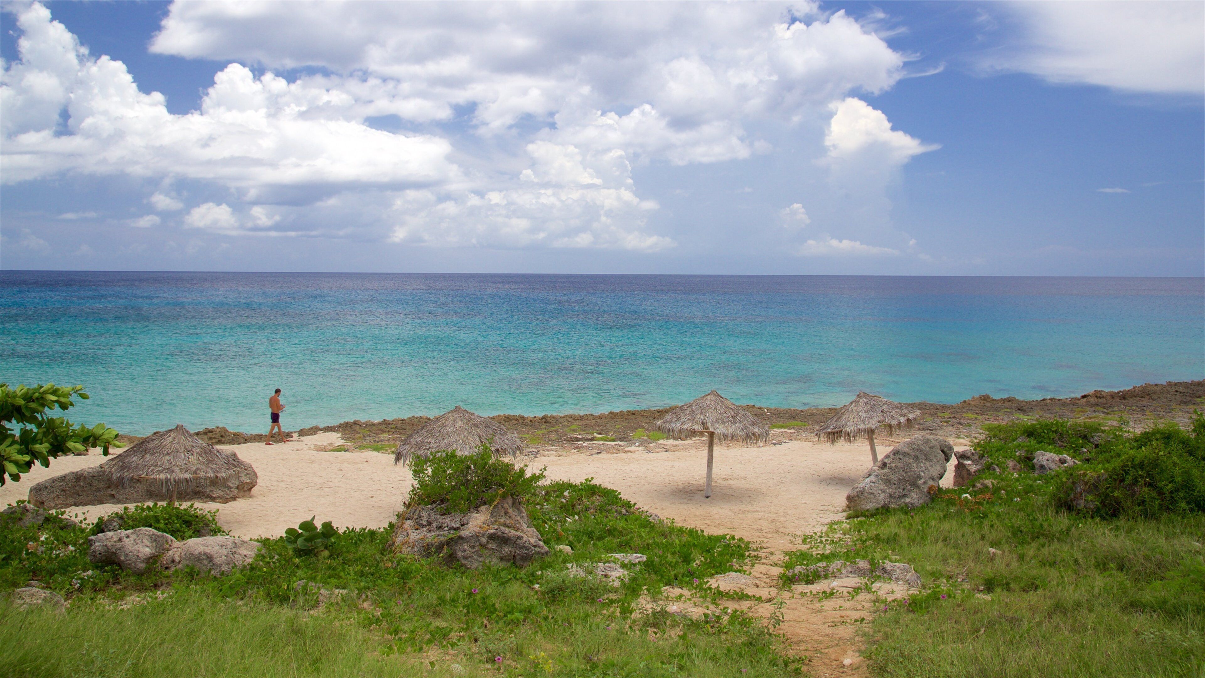 A beach with thatched umbrellas and a person walking along the shore.