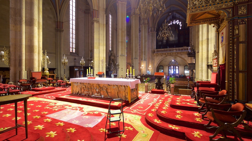 Catedral de Zagreb ofreciendo vistas interiores y una iglesia o catedral