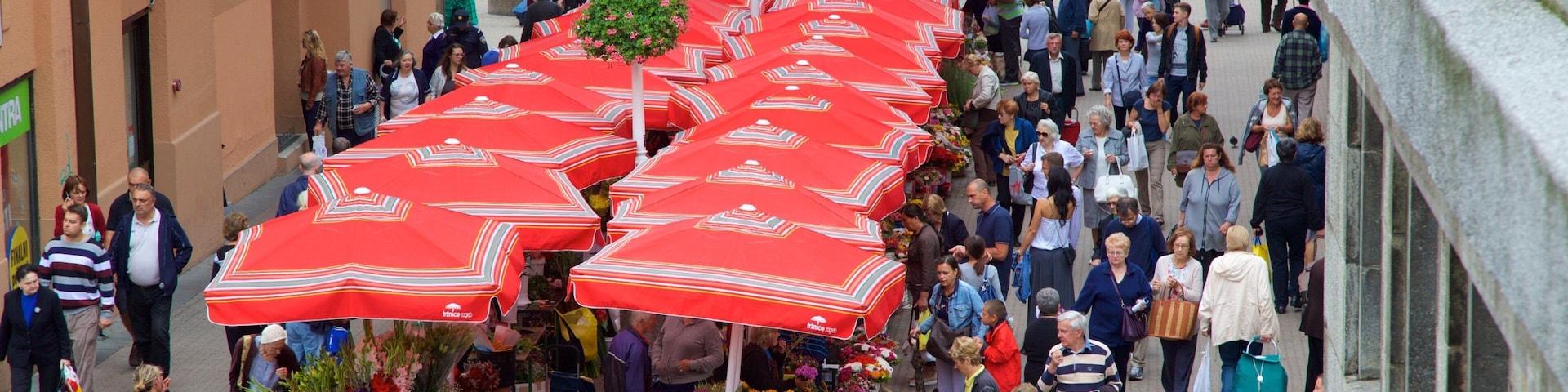 Dolac showing street scenes and markets