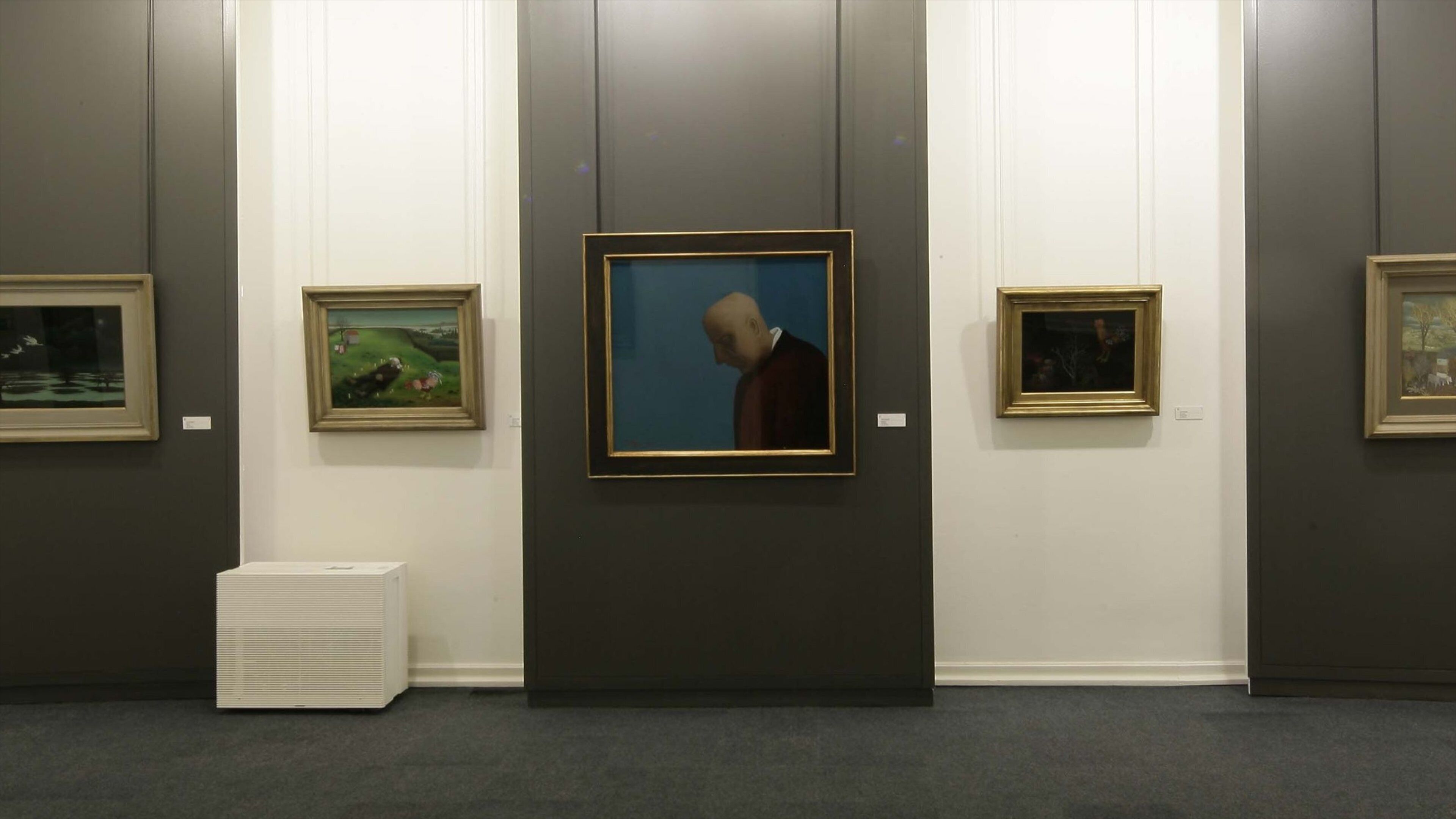 The Croatian Museum of Naive Art featuring interior views and art